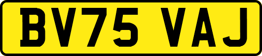 BV75VAJ