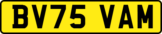 BV75VAM