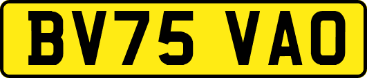 BV75VAO