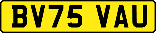 BV75VAU