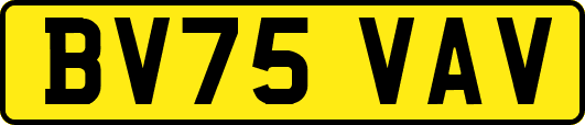 BV75VAV
