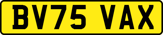 BV75VAX