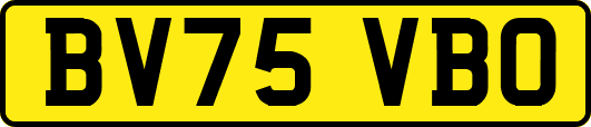 BV75VBO