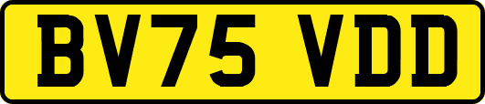 BV75VDD