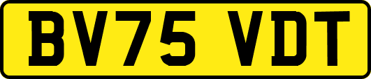BV75VDT