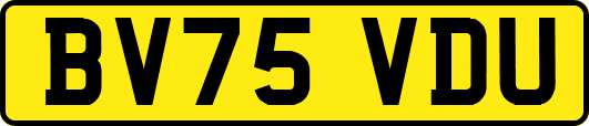 BV75VDU