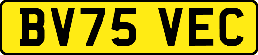 BV75VEC