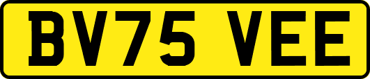 BV75VEE