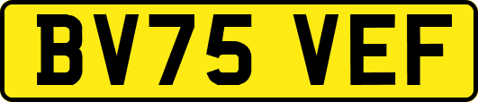 BV75VEF