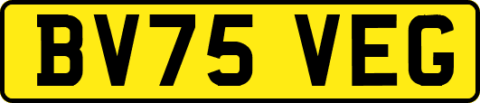 BV75VEG