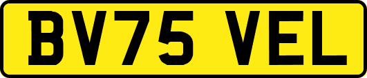 BV75VEL