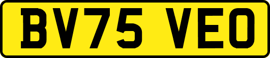 BV75VEO
