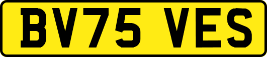 BV75VES