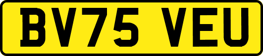 BV75VEU