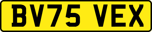 BV75VEX