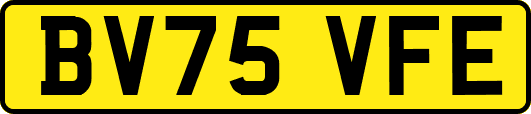 BV75VFE