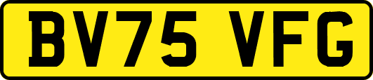 BV75VFG