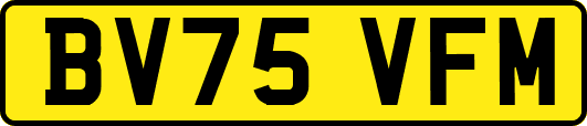 BV75VFM