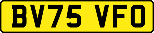 BV75VFO