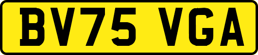 BV75VGA