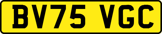 BV75VGC