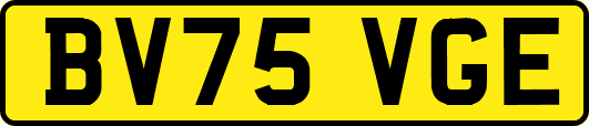 BV75VGE