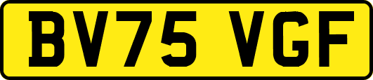 BV75VGF