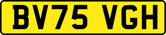 BV75VGH