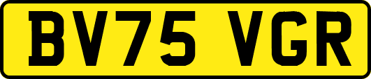 BV75VGR