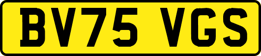BV75VGS