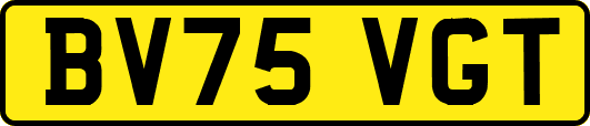 BV75VGT