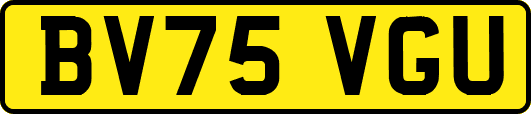 BV75VGU