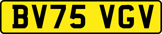 BV75VGV