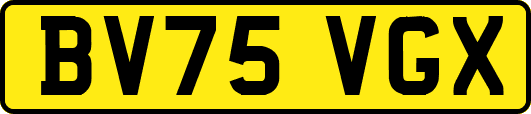 BV75VGX