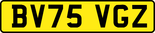 BV75VGZ