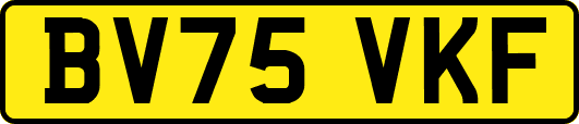 BV75VKF