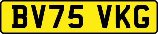 BV75VKG