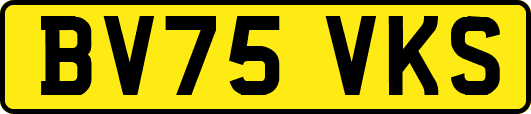 BV75VKS