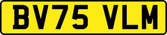 BV75VLM