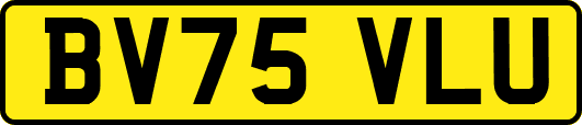 BV75VLU