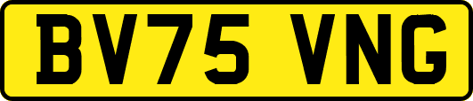 BV75VNG