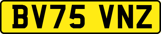 BV75VNZ