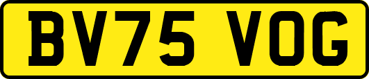 BV75VOG