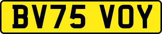 BV75VOY