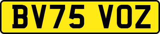 BV75VOZ