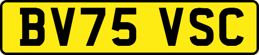 BV75VSC