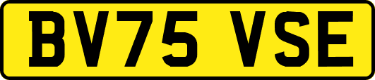 BV75VSE