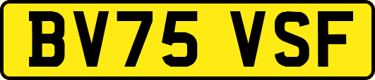 BV75VSF