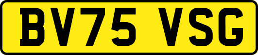 BV75VSG