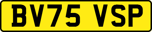 BV75VSP